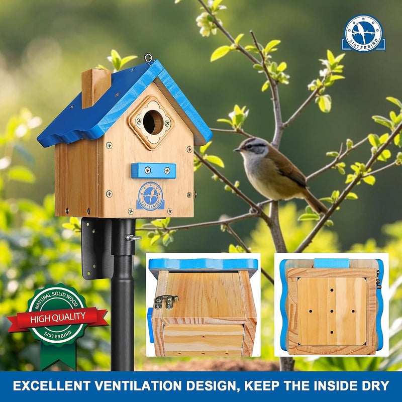 SISTERBIRD Wren Bird House for Outside, Premium Wooden Wren Bird Houses, Hanging Chickadee Bird House, Weatherproof Garden Decor Birdhouses for Outdoors, Blue Color Roof Bird Nesting Titmouse - Image 4